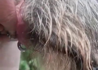 Slow mo blowjob by a doggy