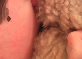 Kinky animal anus is being explored