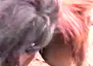 Bitch fingers her lovely stallion