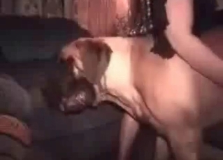 Playful zoophile and sexy doggy