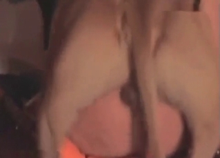 Dog fucker pounded from behind