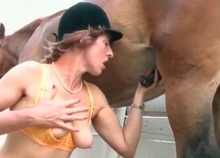 Stunning stimulation of a horse