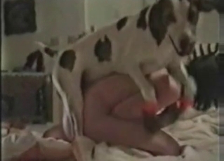Beautiful doggy screws a whore