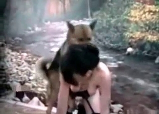 Trained Shepherd is a good fucker