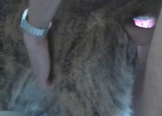 Animal creamed by a hard dick