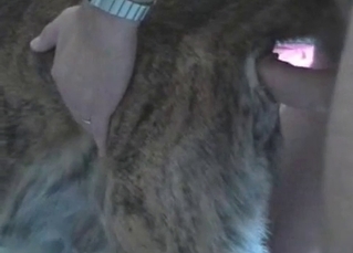 Animal creamed by a hard dick