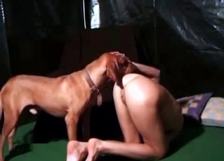 British dog licks her vagina