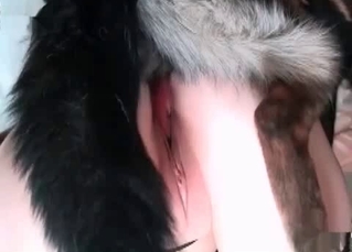 Intensive and hot animal porn