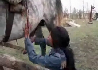 Young girl and horny stallion
