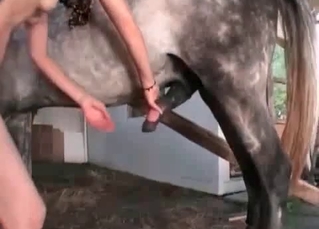 Zoophile masturbates a horse dick