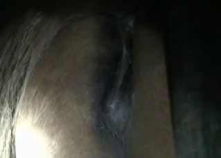Ass of a horse is looking sexy