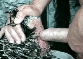 Chicken pounded by a guy