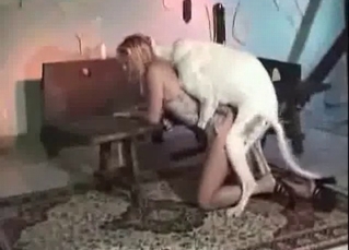 Tyke featured in zoo porn scene