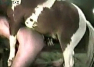 Zoo porn featuring naughty pony