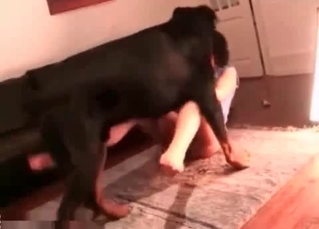 Hound fucking sweet girl