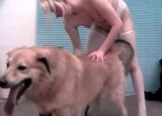Hungry dog and hot zoophiles