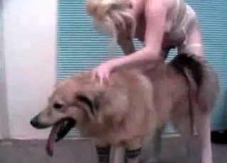 Hungry dog and hot zoophiles