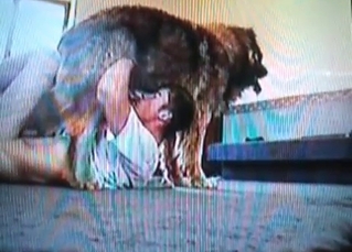 Zoophile blows his lovely doggy