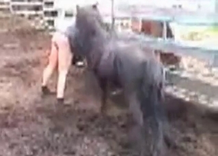 Perverted outdoor farm animality