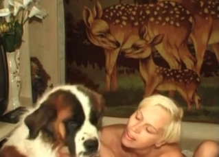 Cute doggy is ready for sex