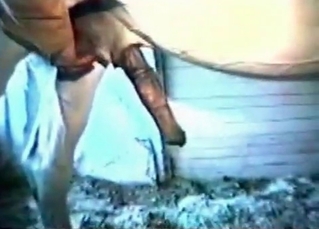 Impressive bestial sex in the barn