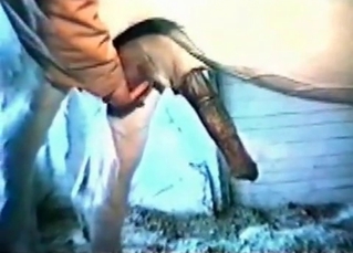 Impressive bestial sex in the barn