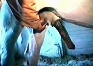 Impressive bestial sex in the barn