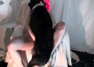 Dog pleasing horny pussy