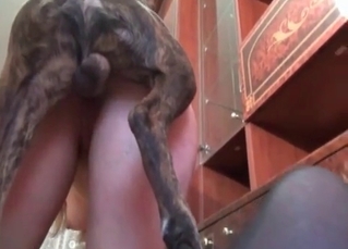 Zoo porn with a pet