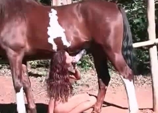Mustang in a zoo fuck