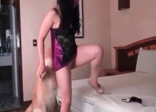 Puppy pleasing girlТs cunt