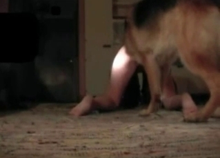 Tight pussy fucked by hound