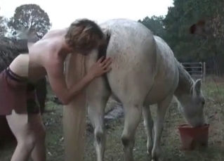 Petting cute horsy