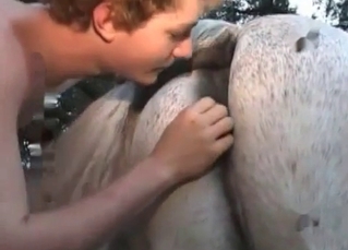 Petting cute horsy