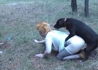 Mutt fucking outdoor