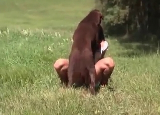 Brown pup and chick