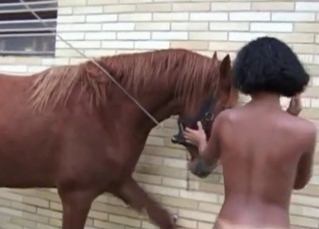 Tanned lady and a stallion