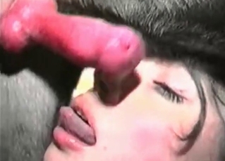 Tyke has its cock sucked