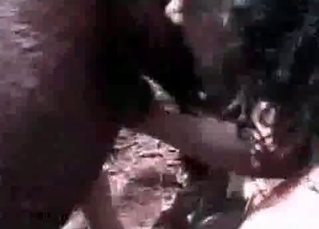 Girl sucking fillyТs dick