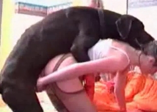 Doberman drills her tight cunt