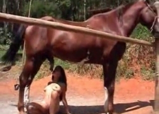 Latina and stunning brown horse