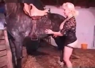 Milf slowly sucks a horse dick