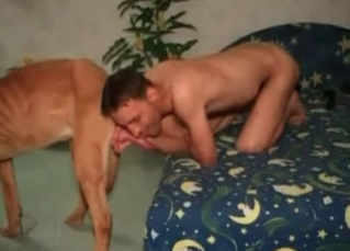Guy sucking on his dogТs dick
