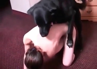 Sex with a black doggy in the bedroom