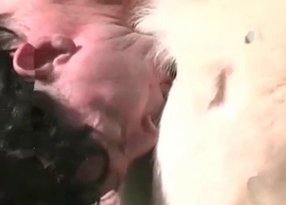 Redhead enjoys her doggy