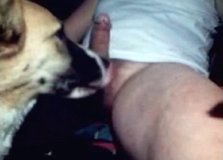 Awesome blowjob by a doggy