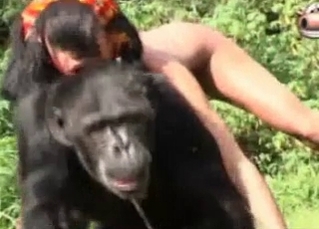 Exotic animal sex with a gorilla