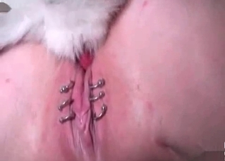 Nasty bitch fucked by an animal