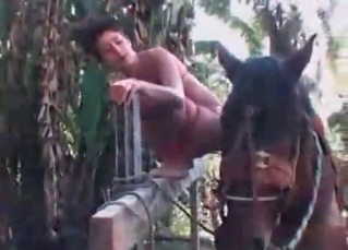 Stallion gets into hot sex