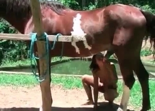Brunette licks a horse wiener